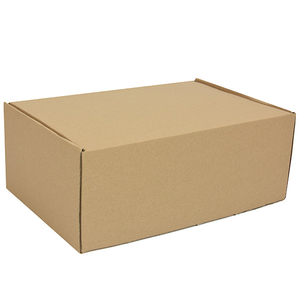 Sturdy kraft cardboard shipping box with a secure lid, perfect for eco-friendly packaging and protecting delicate items during transit.